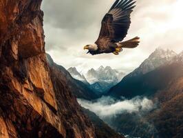 Majestic eagle soaring above rocky cliffs in the mountains photo