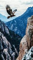 An eagle flying over a mountain range photo