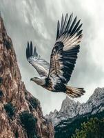 Majestic eagle soaring over rocky mountains under cloudy sky photo