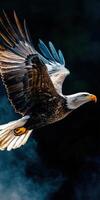 Majestic eagle soaring through the sky with wings outstretched photo