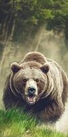 Grizzly bear walking through the forest during daylight hours photo