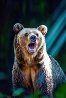 Majestic brown bear roaring in a forest during daytime photo