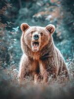 Brown bear roaring in a dense forest environment during daytime photo