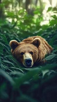 Bear resting in lush greenery during daylight hours photo