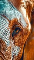 Close-up view of an elephant's eye highlighting its unique texture photo