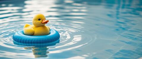 A rubber duck floating in a pool photo