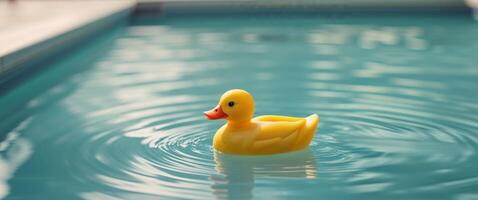 A rubber duck floating in a pool photo