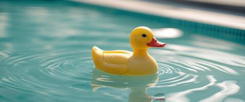 A rubber duck floating in a pool photo
