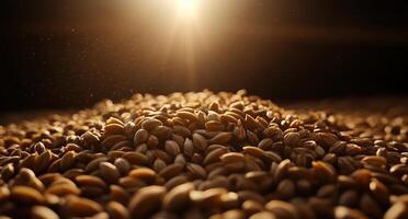 A pile of barley grains with the sun shining through photo