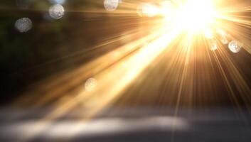 Sunlight shining through a tree and a blurry background photo