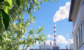 Spring leaves frame factory pollution photo