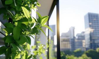 A green plant growing in front of a window photo