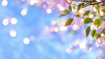 Serene Spring Blossoms Against a Bokeh Sky photo