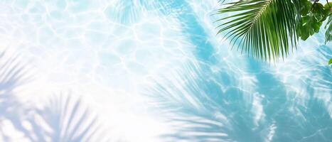 Tropical palm leaves and water in a pool photo