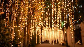 A pathway adorned with cascading decorative lights for a festive atmosphere. photo