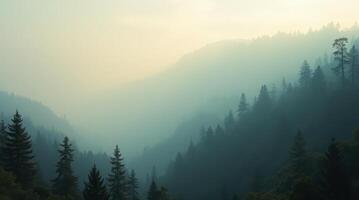 A mountain range with trees and fog photo