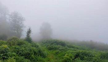 A path through the fog in the mountains photo