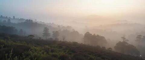 A misty landscape with trees and hills photo