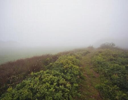 A path in the fog on a hillside photo