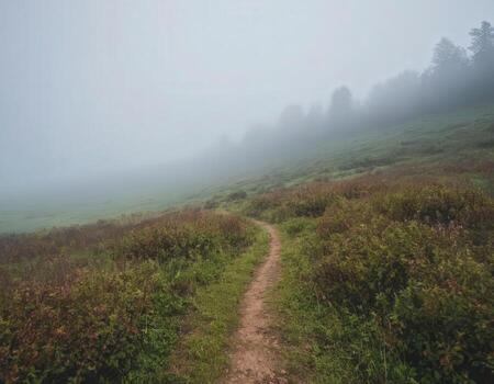 A path in the fog on a mountain photo