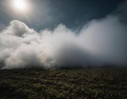 A field of smoke rising from the ground photo