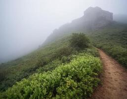 A path leads up to a cliff on a foggy day photo