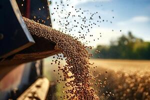 Combine harvester unloading soybeans into tractor trailer photo
