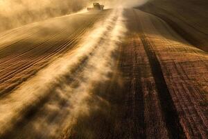 Combine harvester harvesting wheat in cultivated field, creating dust cloud photo