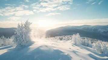 Snow blowing from frozen trees on sunny mountain top photo