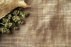 Cannabis buds resting on burlap sack cultivating the essence of nature photo
