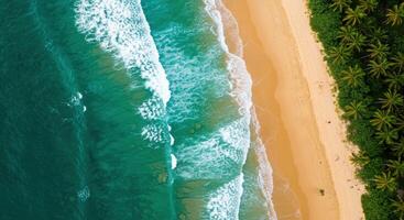 An aerial view of a beach and ocean photo