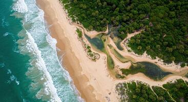 Aerial view of a beach in sri lanka photo