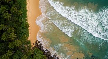 Aerial view of tropical beach and ocean waves photo