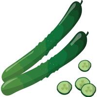 Explore the benefits of Cucumber Superfood, a refreshing and nutritious addition to your diet. Perfect for health enthusiasts, salads, and smoothies vector