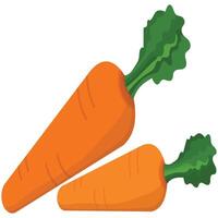 Embrace the power of Carrot Superfood, a vibrant, nutrient-rich vegetable perfect for enhancing your meals. Loaded with vitamins, it's ideal for salads, juices, and healthy snacks vector