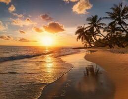 A beautiful sunset on a tropical beach with palm trees photo