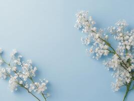 Lily of the valley flowers on a blue background photo