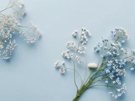 Two small white flowers on a blue background photo