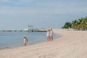 Family enjoys a sunny day walking along a tranquil beach with palm trees and a pier in the distance photo