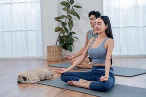 Couple practicing yoga indoors with a sleeping dog in a serene environment during the morning hours photo