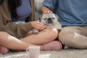 Couple enjoys relaxing moment with pet dog at home on a cozy afternoon in the living room photo