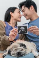 Couple joyfully announces pregnancy while cuddling their pug at home photo