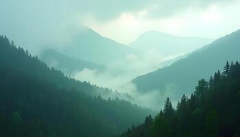 A mountain range with trees and fog photo