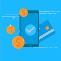How to use a credit card for online shopping vector