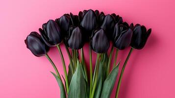 Close up of beautiful bouquet of black tulips on simple colored background. 12 photo