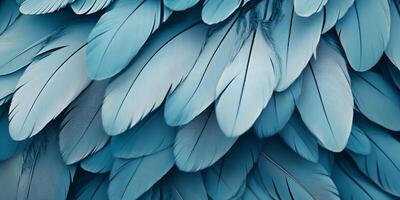 Close Up Of Many Soft Blue Feathers With an Abstract Pattern Background photo