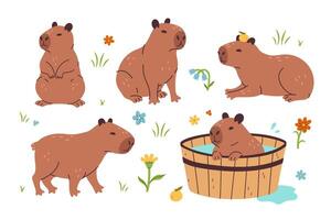 Set of cute capybaras isolate on white background. graphics vector