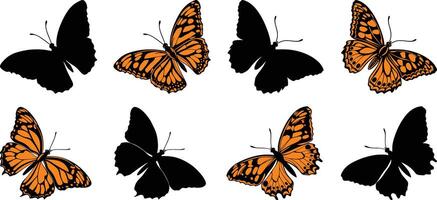 Flying butterflies silhouette and color set isolated on transparent background vector