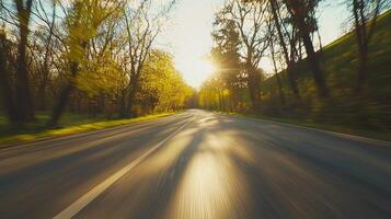 Sunlit Road Through Springtime Trees During a Drive photo