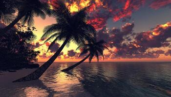 Tropical Sunset Scene with Palm Trees on a Beach photo